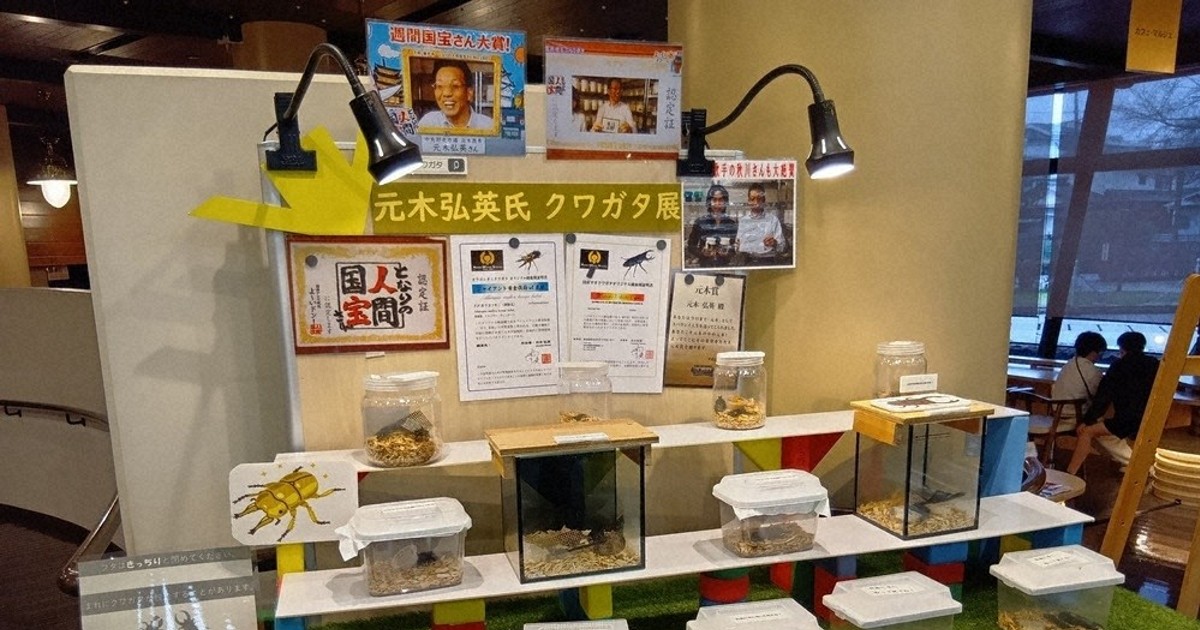 カブトムシ育成体験イベントが藤井寺で