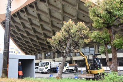 旧香川県立体育館（船の体育館）解体工事が始まり、敷地周縁部の植栽がチェーンソーや重機を使って伐採された＝高松市福岡町で2026年4月10日午前10時46分、森田真潮撮影