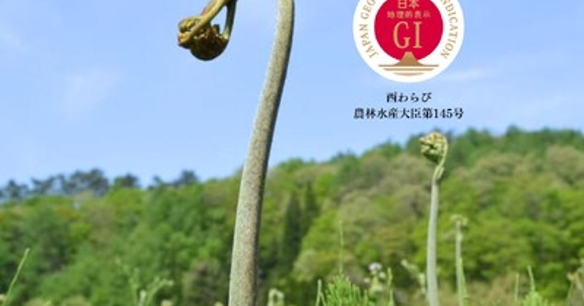 プレスリリース：雪解けの恵み、日本初の山菜GI「西わらび」予約受付