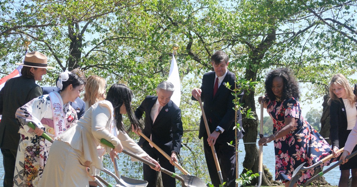 ワシントンで桜の植樹式　建国250年を記念して日本政府が贈呈