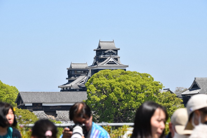 2052年度の復旧完了を目指す熊本城＝熊本市で2026年4月11日午前11時26分、日向米華撮影