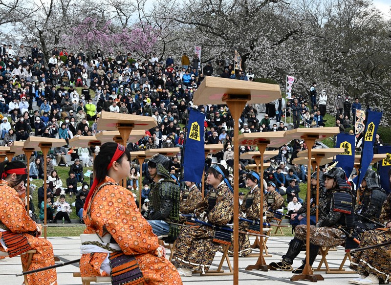 満開の桜の下で華やか戦国絵巻 山形・天童で「人間将棋」始まる [写真