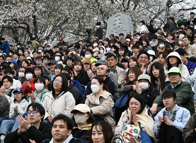 満開の桜の下で華やか戦国絵巻 山形・天童で「人間将棋」始まる [写真