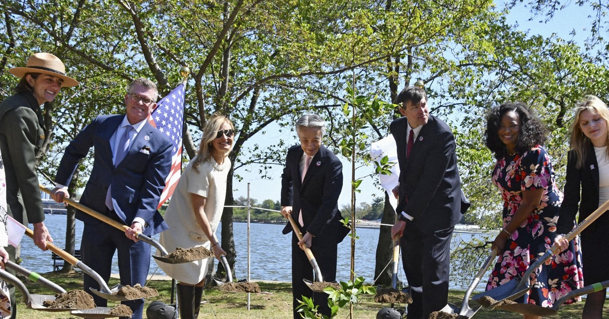 Japan, U.S. officials plant cherry tree saplings in Washington