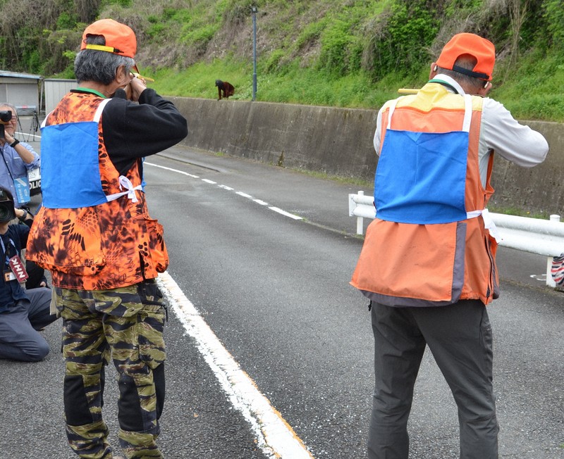 県警の警察官がふんしたクマを模擬銃で撃つ訓練＝神奈川県秦野市内で2026年4月13日午前11時36分、本橋由紀撮影