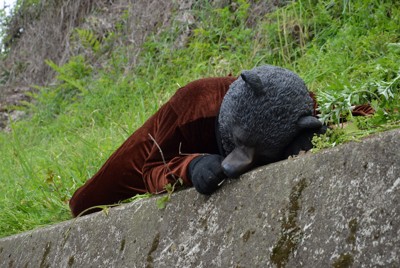 土手ののり面で死んでいるのが確認されたクマにふんする警察官＝＝神奈川県秦野市内で2026年4月13日、本橋由紀撮影