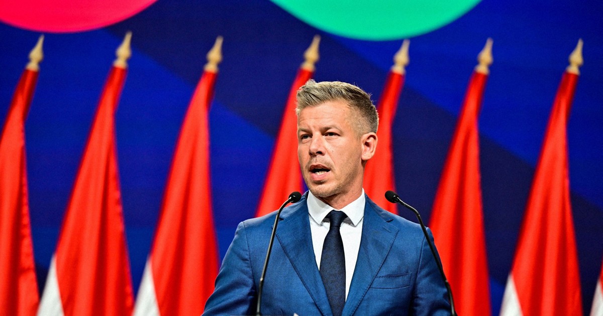 ハンガリー次期政権、ウクライナへのEU融資認める意向