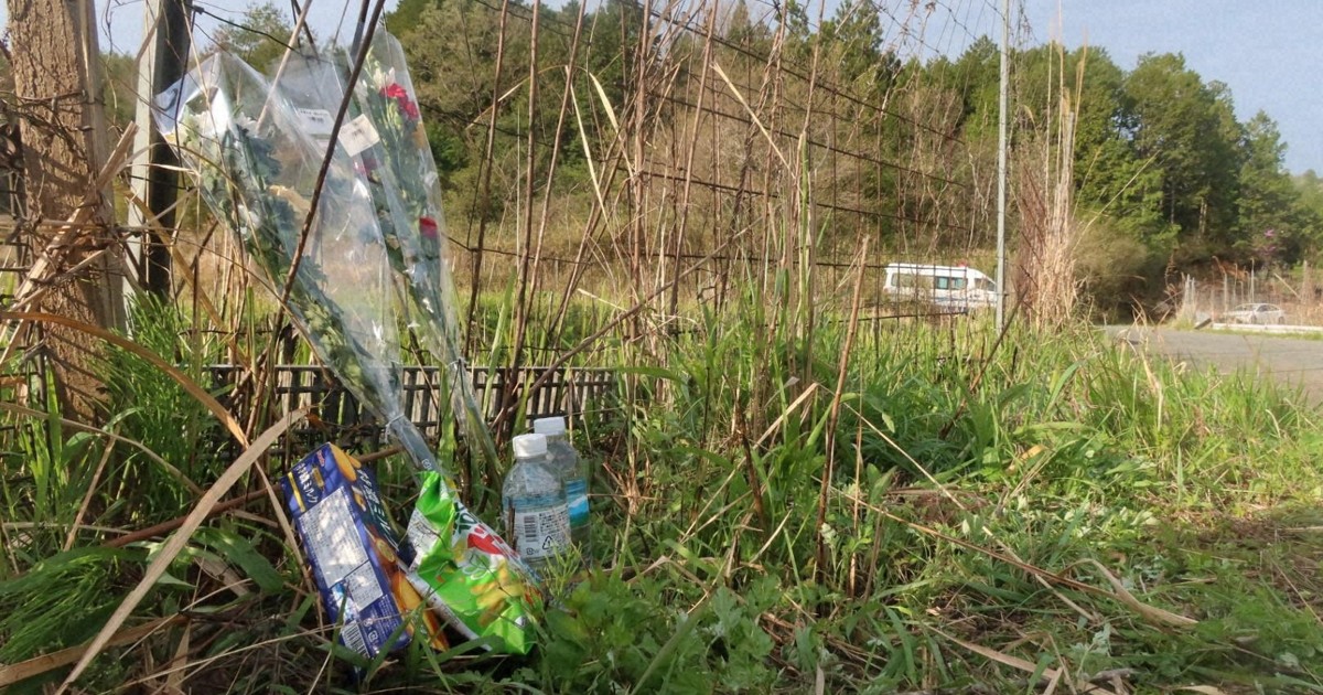 京都・南丹で発見の遺体、行方不明の男児と確認　府警