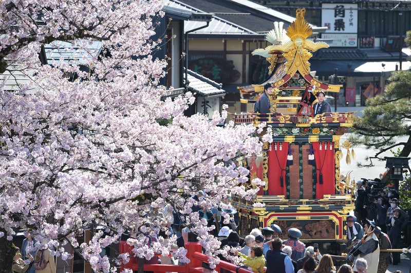 岐阜県の祭り屋台 華麗な祭り屋台12台が集結 満開の桜の下、春の高山祭始まる | 毎日新聞