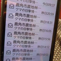 秋田県鹿角市から繰り返し市民のスマートフォンに送られたクマの目撃情報に関する注意喚起のメール＝鹿角市で2025年11月14日、工藤哲撮影