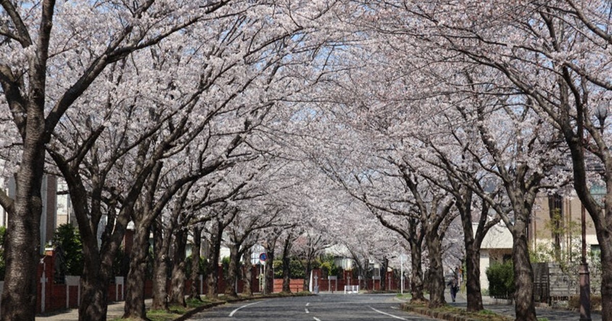 狙うは人口増　生成AI使った市のPR動画を募集　千葉・白井