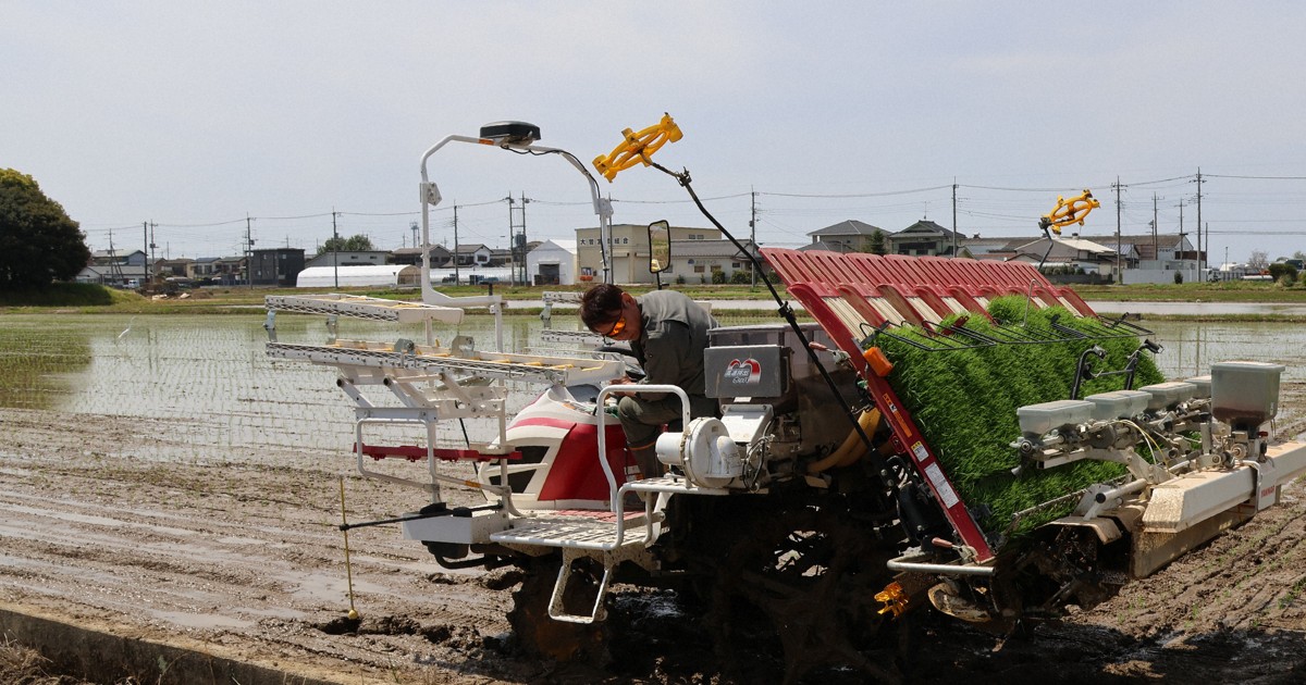 「いち早く新米のおいしさ味わって」　各地で田植え始まる　埼玉