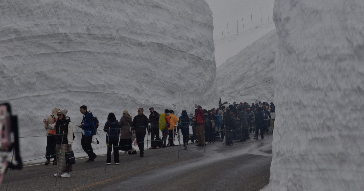 立山黒部アルペンルート開通　高さ12メートルの雪壁楽しむ