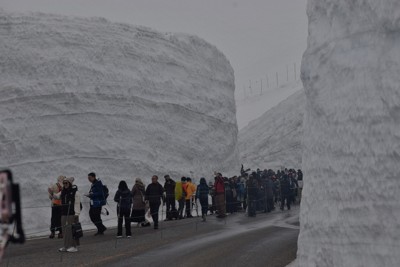 最大12メートルの雪の壁の間を歩く観光客＝富山県立山町で2026年4月15日午前9時53分、去石信一撮影