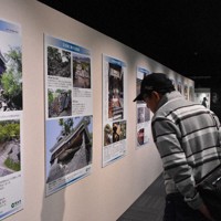 「熊本地震10年展」で展示されている資料写真を見つめる来場者＝熊本市中央区の熊本博物館で2026年4月15日午後2時5分、池田直撮影
