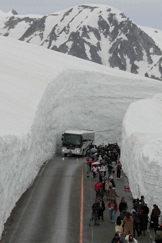 全線開通した立山黒部アルペンルートの「雪の大谷」を進む大型バス＝富山県立山町で2026年4月15日、岩本一希撮影