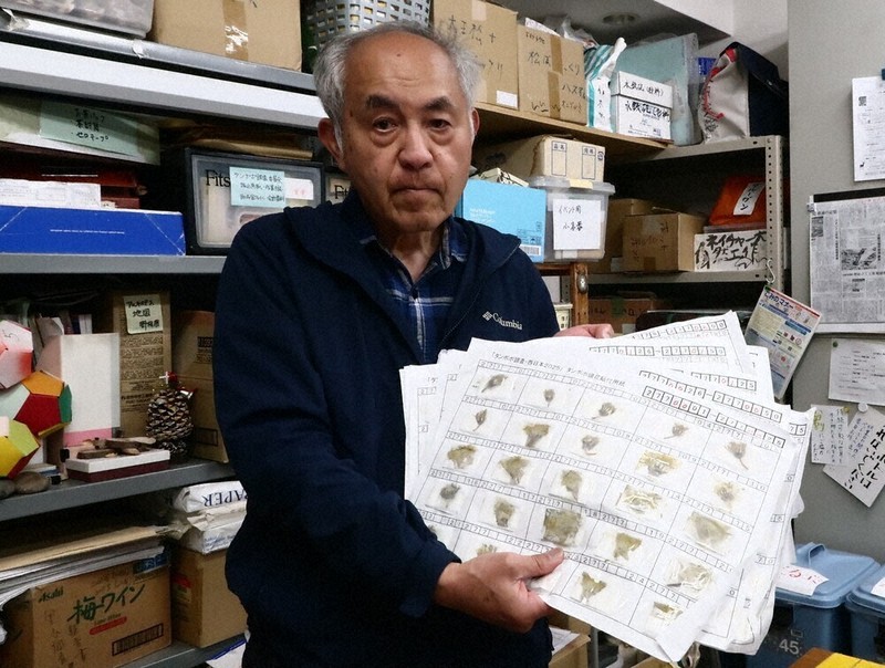 外来種タンポポ、再び増 府内データ1万3685件調査 一時減少も、再開発