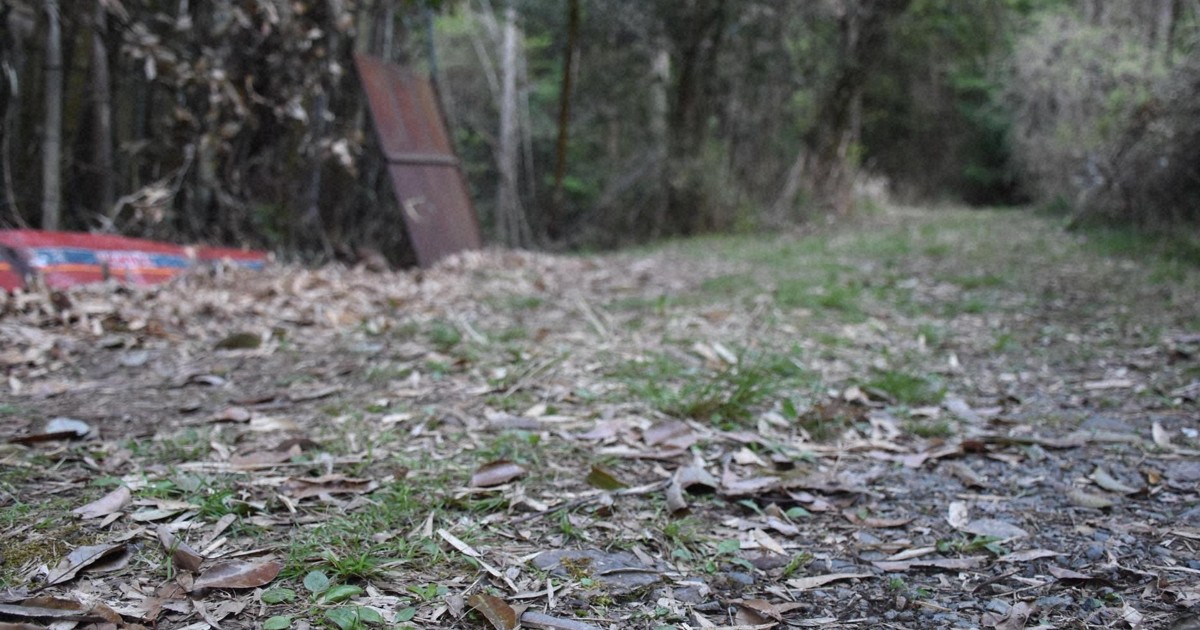 逮捕の父、捜査かく乱狙って遺体を複数回移動か　京都・南丹