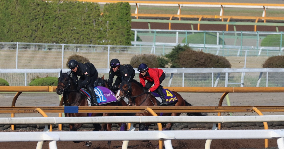 相棒は双眼鏡:皐月賞は「気持ちみなぎる」アドマイヤクワッズ＝井内利彰さん