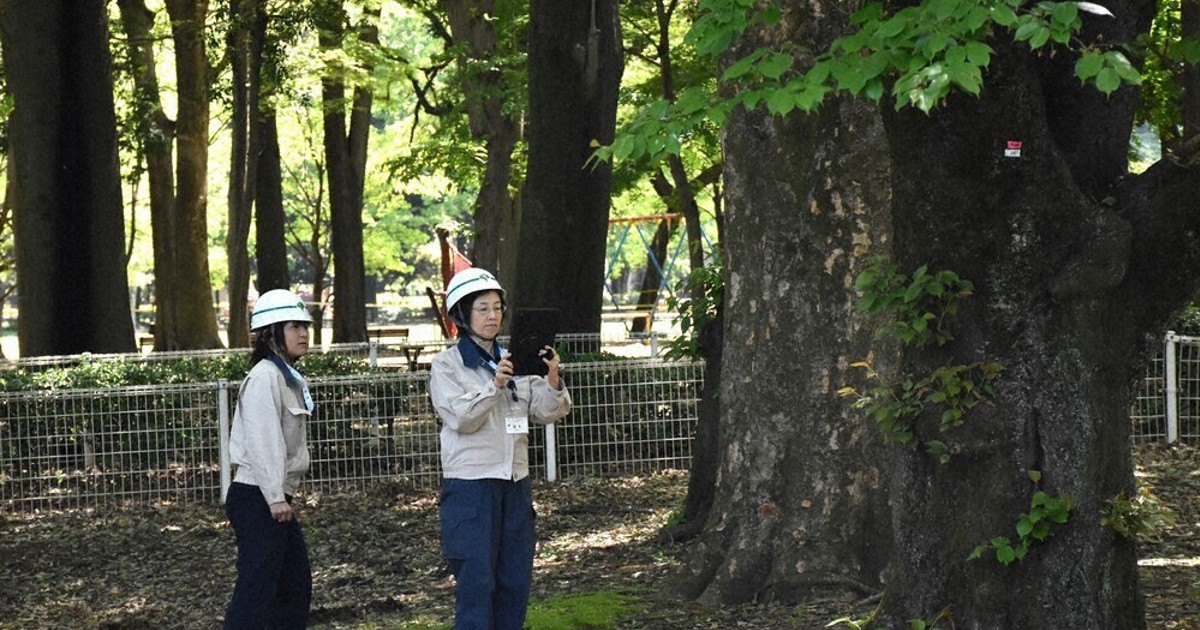 樹木57本が倒れる可能性　AI点検で判明　世田谷・砧公園