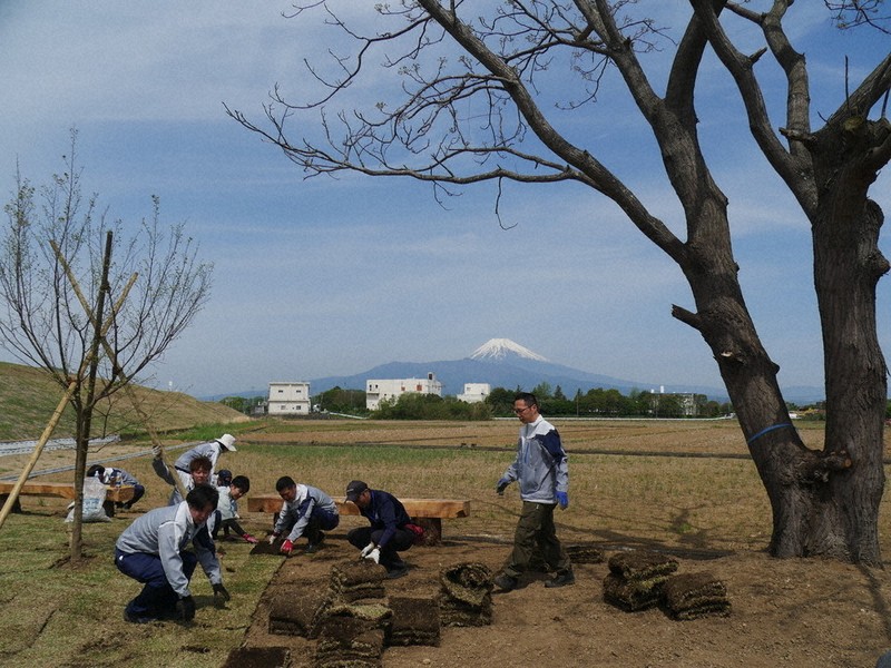 センダン守る公園整備 三島のNPO法人 狩野川・松毛川近くで計画 ／静岡