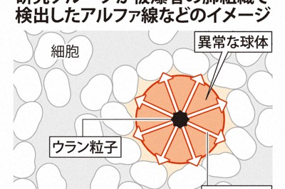 研究グループが被爆者の肺組織で検出したアルファ線などのイメージ