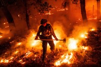 A firefighter battles the Pickett Fire burning in the Aetna Springs area of Napa County, Calif., Aug. 23, 2025. (AP Photo/Noah Berger, File)