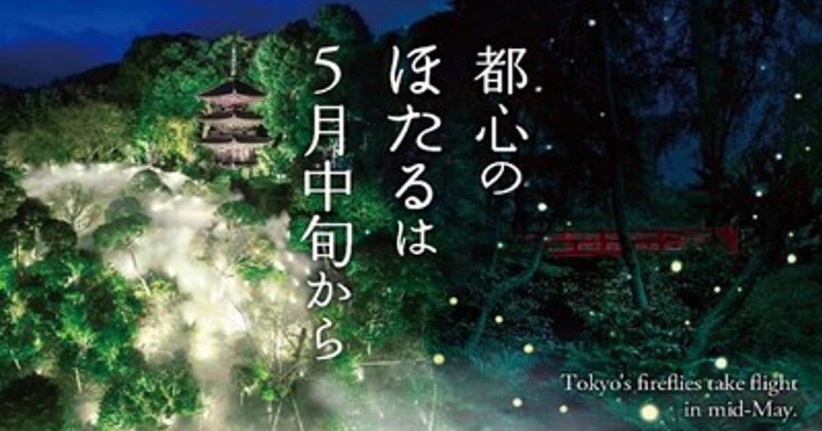 プレスリリース：［ホテル椿山荘東京］～初飛翔は5月中旬の見込み～ 4