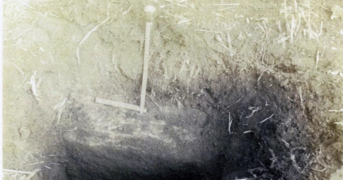 石室に葬られていたのは誰？　初の一般公開　誉田御廟山古墳の謎 | 毎日新聞