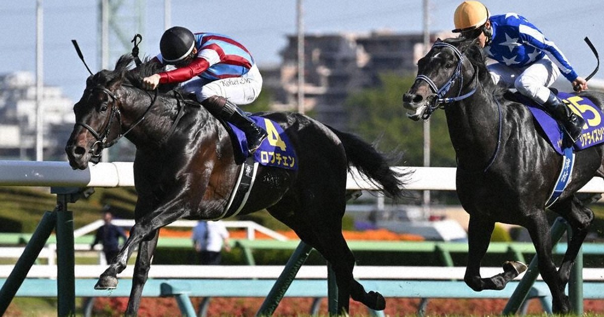 日刊スポーツ競馬新聞G1セット2021 日刊競馬新聞 | 日刊競馬新聞社