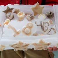 キラの誕生日を祝う特製アイスケーキ＝鳥羽水族館提供