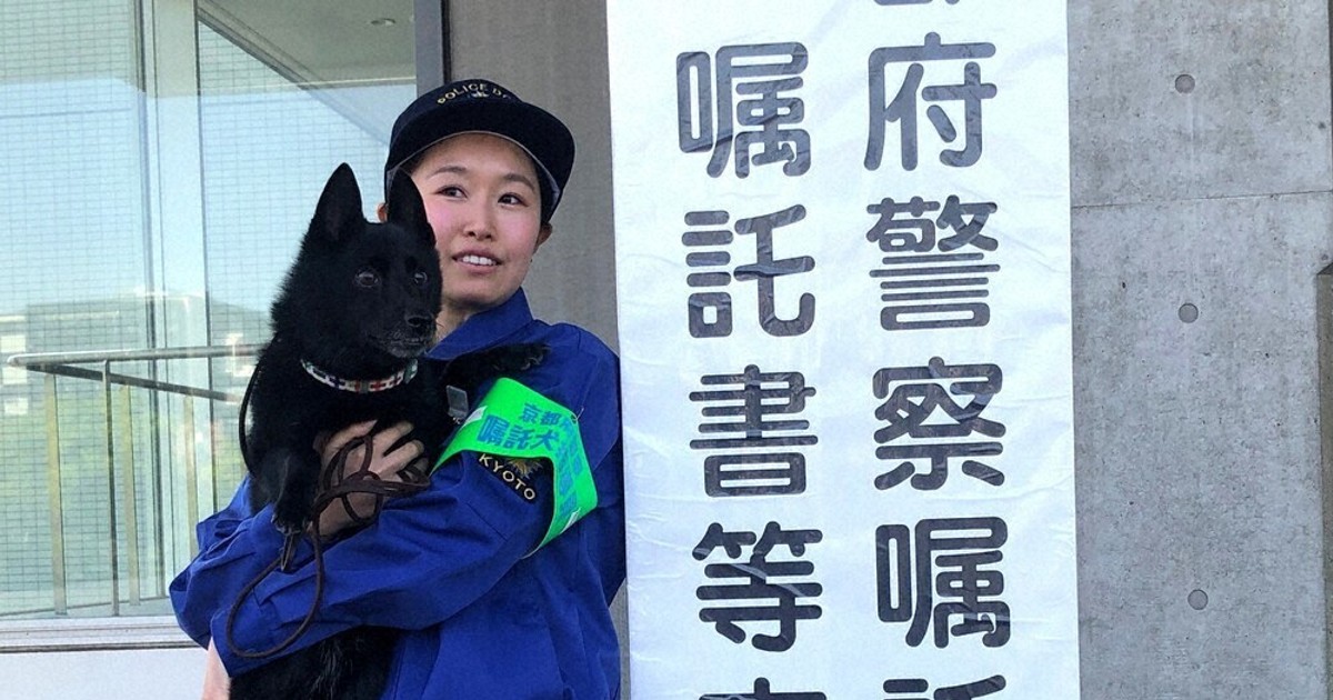 「犬」の楽しさを倍増させる方法