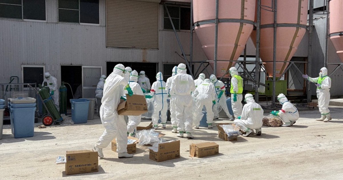 青森で鳥インフルエンザ確認　採卵鶏23万羽の殺処分へ