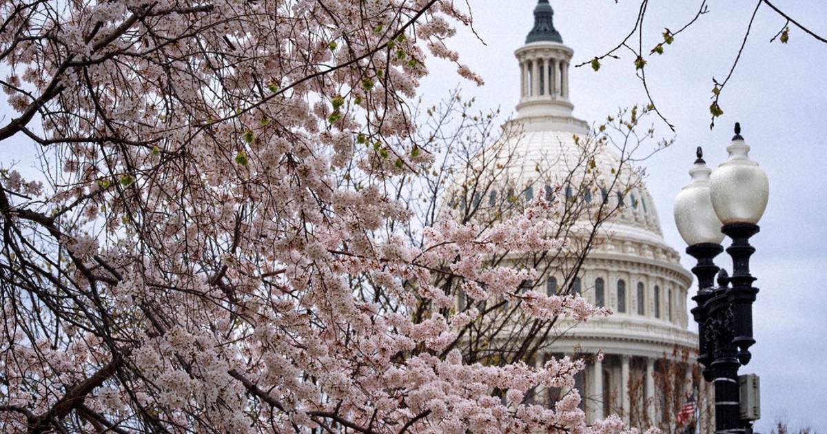 Trump's Fed chief nominee vows independence of US monetary policy