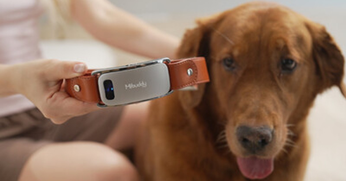 【希少】D.TSYSTEMS 犬　躾用　狩猟　訓練用　ダミーランチャー　電子首輪 Amazon | 無駄吠え防止器具 電気首輪 2019最新犬用しつけ用首輪 遠隔