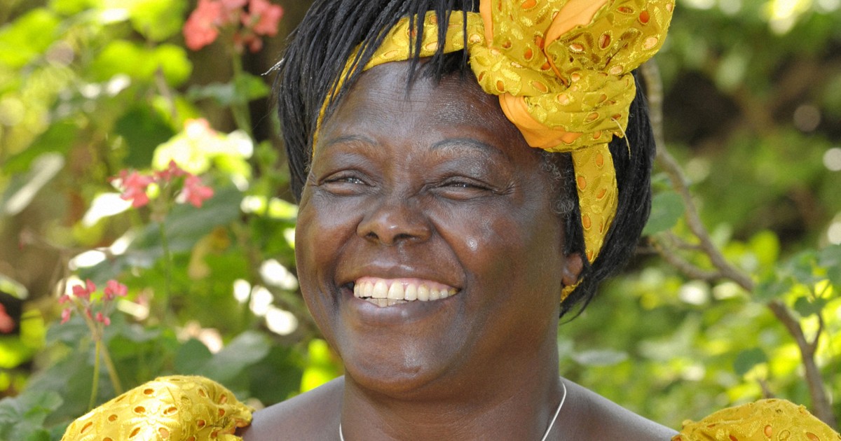 MOTTAINAI提唱マータイさん生家修復へ　クラファン開始