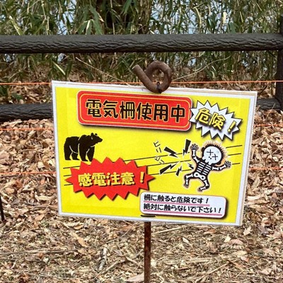 「ウソだろ」早くも市街地に現れたクマ　GW前に観光地の対策は