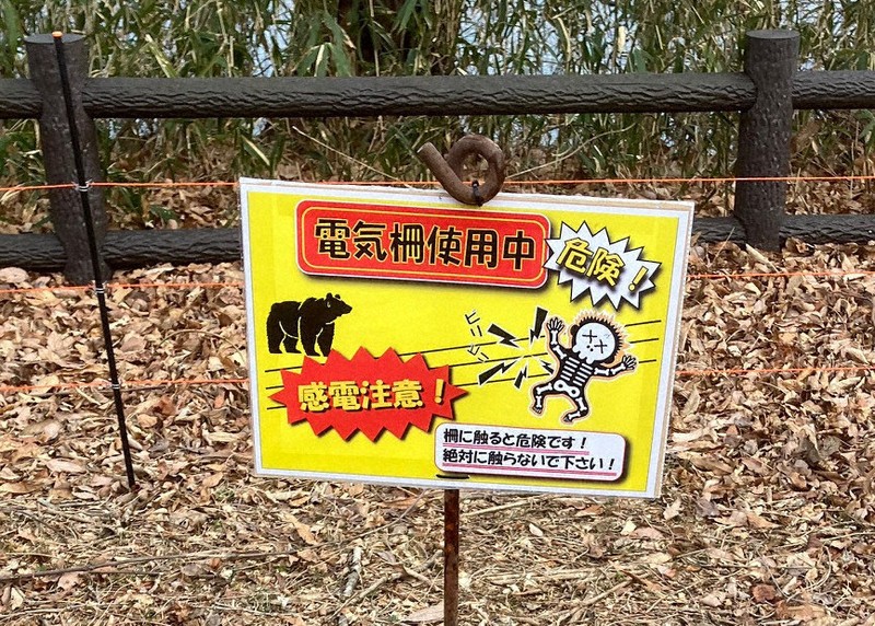 ウソだろ」早くも市街地に現れたクマ GW前に観光地の対策は | 毎日新聞