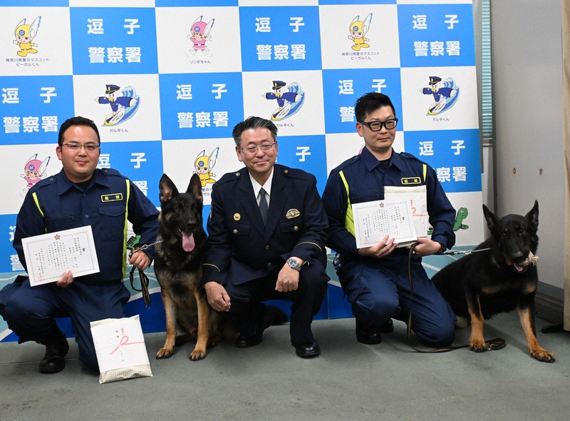 警察官バッチ巡査　戦前神奈川県逗子警察 草むらに立つ不明男性をパジャマの匂いで発見 警察犬2頭を表彰 | 毎日新聞