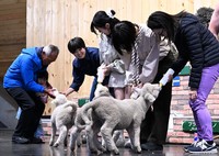 (Mainichi/Tetsu Miyata)