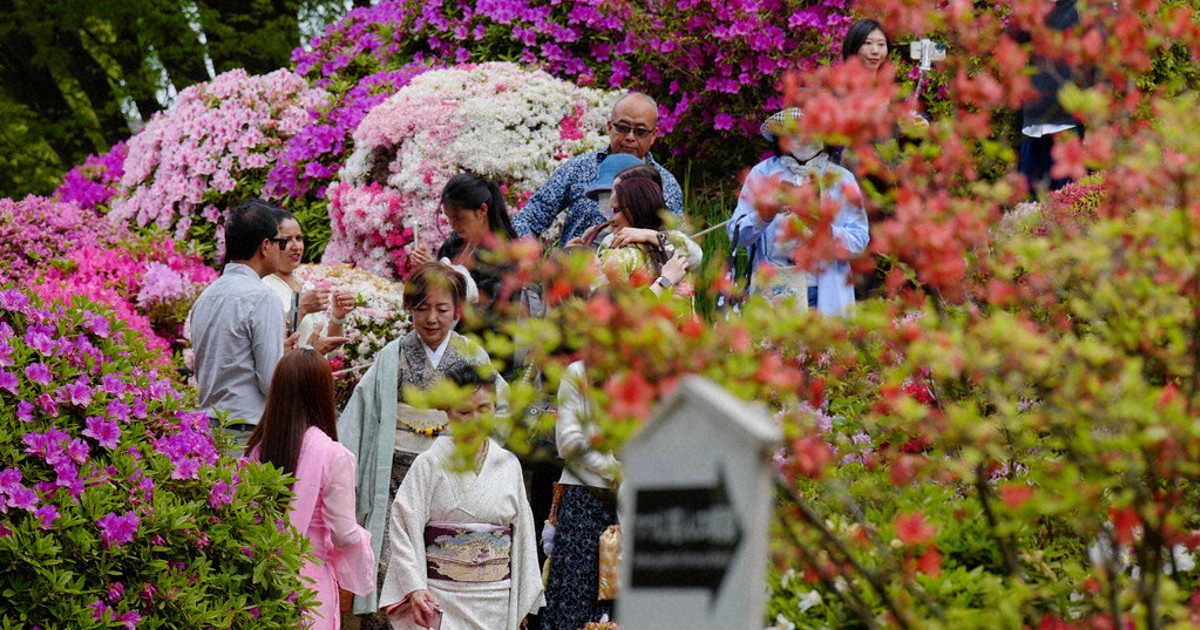 Japan eyes stricter age checks for social media users