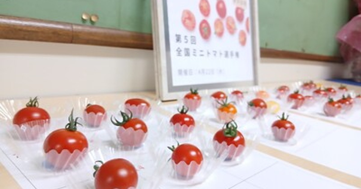 プレスリリース：ミニトマト日本一が決定！東京都府中市「さわとまと柔