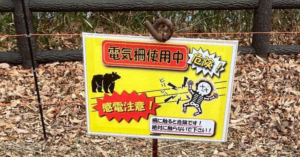 Japan bears already entering urban areas, forcing tourist spots to act before Golden Week