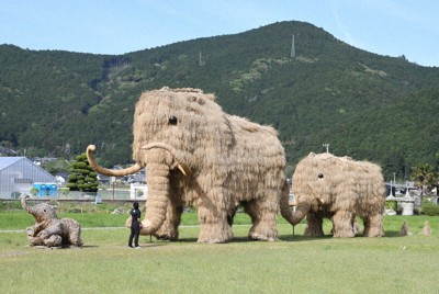 稲わらの張り替えが終わりきれいになったわらマンモス＝愛媛県西予市宇和町で2026年4月21日午後3時59分、藤家秀一撮影