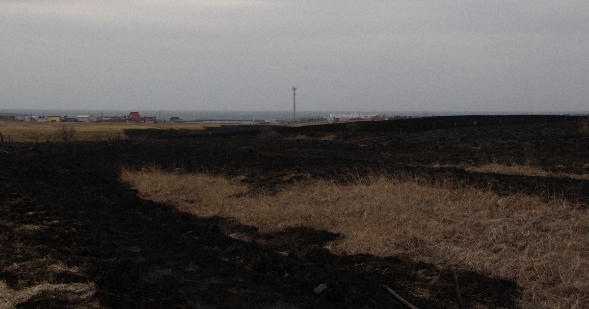 歯舞湿原に黒い帯…現場に残るにおいが物語る火災のすさまじさ