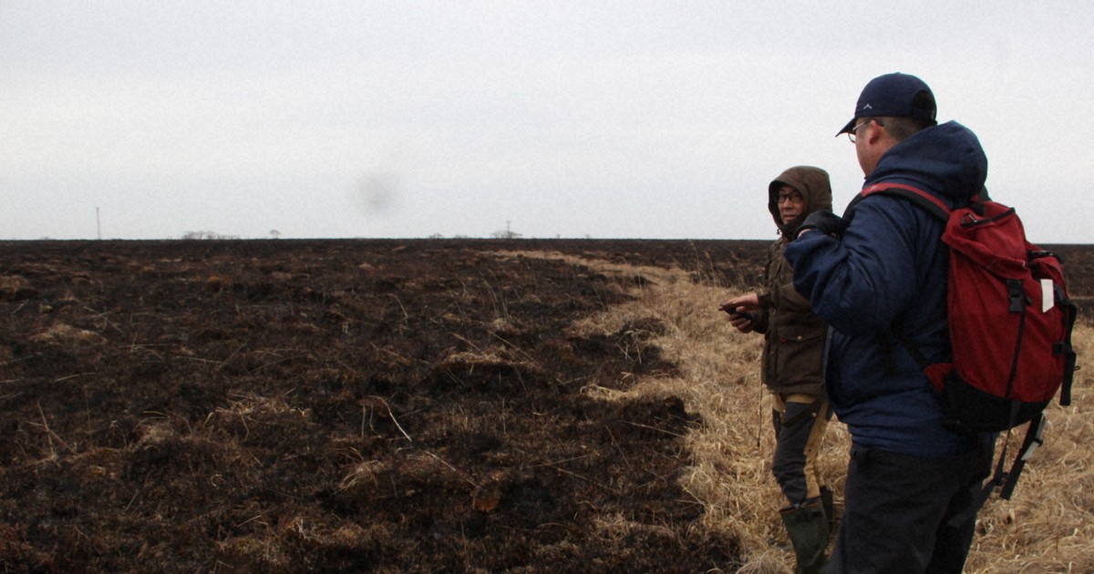 延焼食い止めた竹ぼうき　北海道湿原火災、消火活動の舞台裏