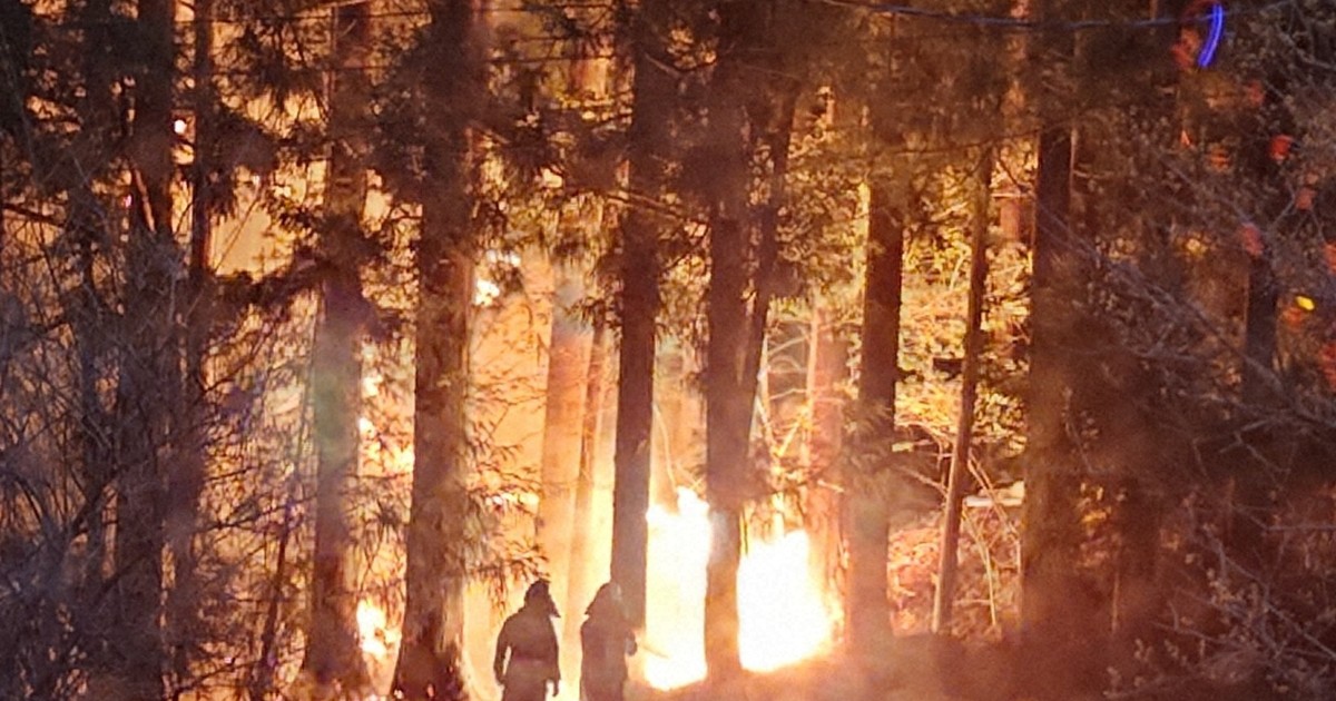 「ただならぬ雰囲気が…」　大槌の山林火災、出火当時の状況は