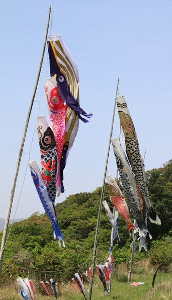 本州最西端の岬、こいのぼりが大空泳ぐ 今年はくじらのぼりも | 毎日新聞