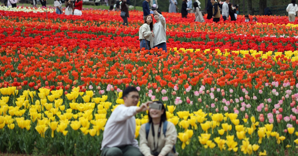 毎日歌壇・俳壇4月27日の特選より