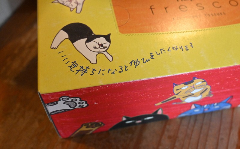 上村さんが描いた猫は、商品化されたティッシュの箱にプリントされている＝広島市安佐南区で2026年4月20日午後3時23分、西山夏奈撮影